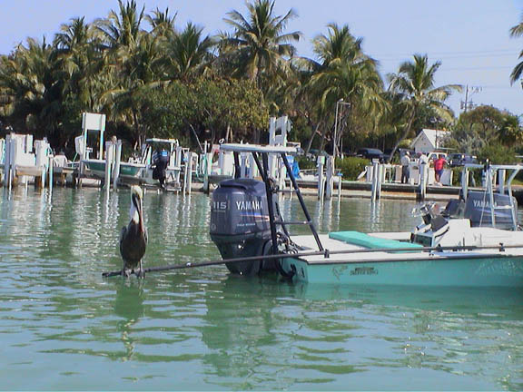 Feb  2004 Islamorada FL Pelican on Flats Boat 22