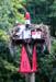 18 July 2003 Osprey in nest on Wacama River  NC-33