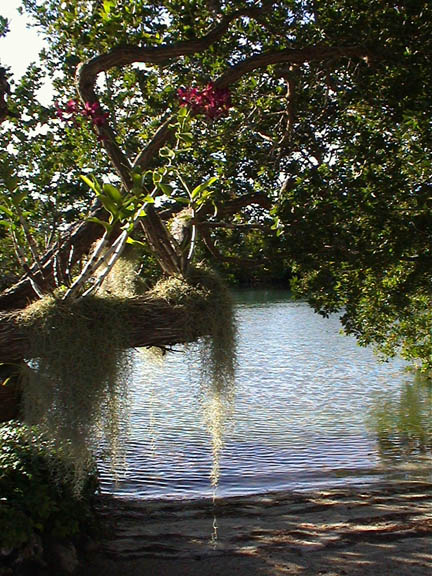10  Marathon Florida Keys Pond 38