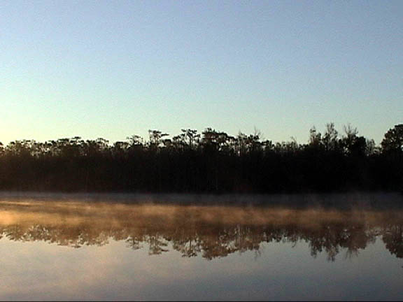 Oct 2003 Goat Island NC Morning Mist 110