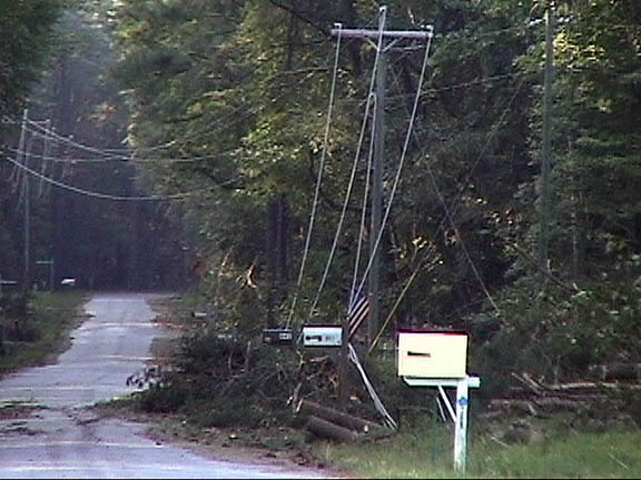 03 Yankee Point  Power line Mess