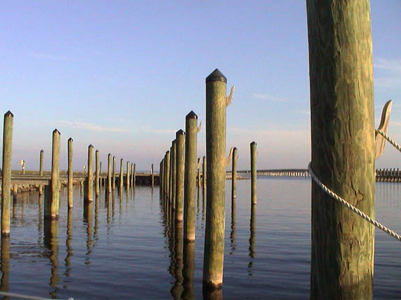 60 D Alligator River Marina NC Pilings 1