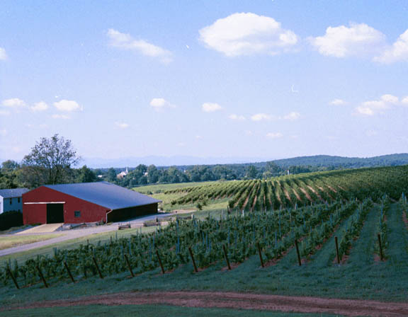 001 Barn at Winery