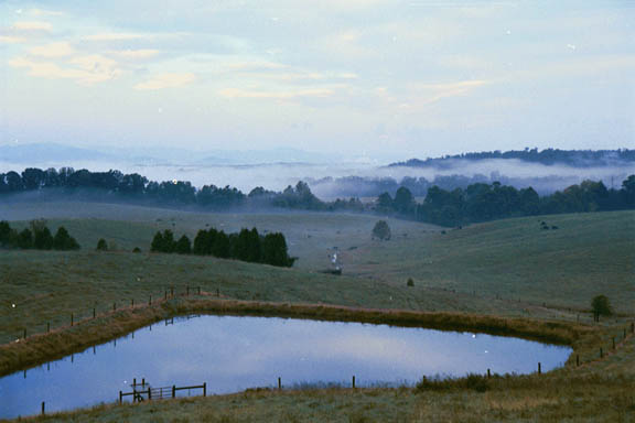 Pond and Fog