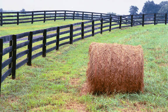 Single Bail Closeup Fence