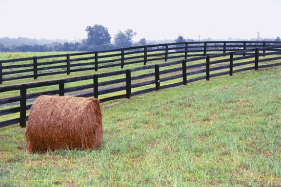 Single Bail Large Fence