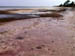 June 2003 Lower Matacumbe Florida Keys Pink Sands 3