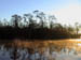 Oct 2003 Goat Island NC Morning Mist 07