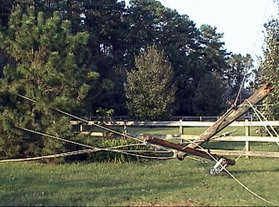 04 Yankee Point Dead Pole