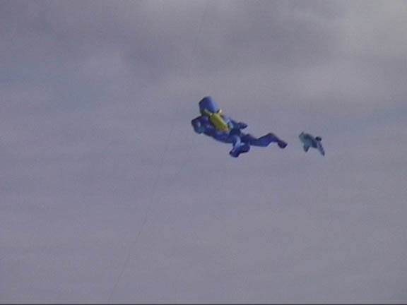 Diver and Shark Kite