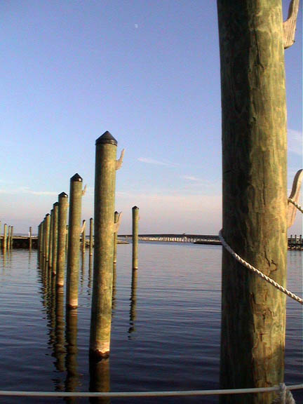 60 D Alligator River Marina NC Pilings