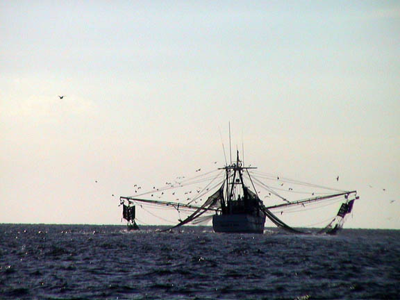 70 Oct 2003 Underway to Herb Creek SC Shrimper